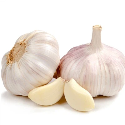 10kgs Carton Box Fresh Garlic